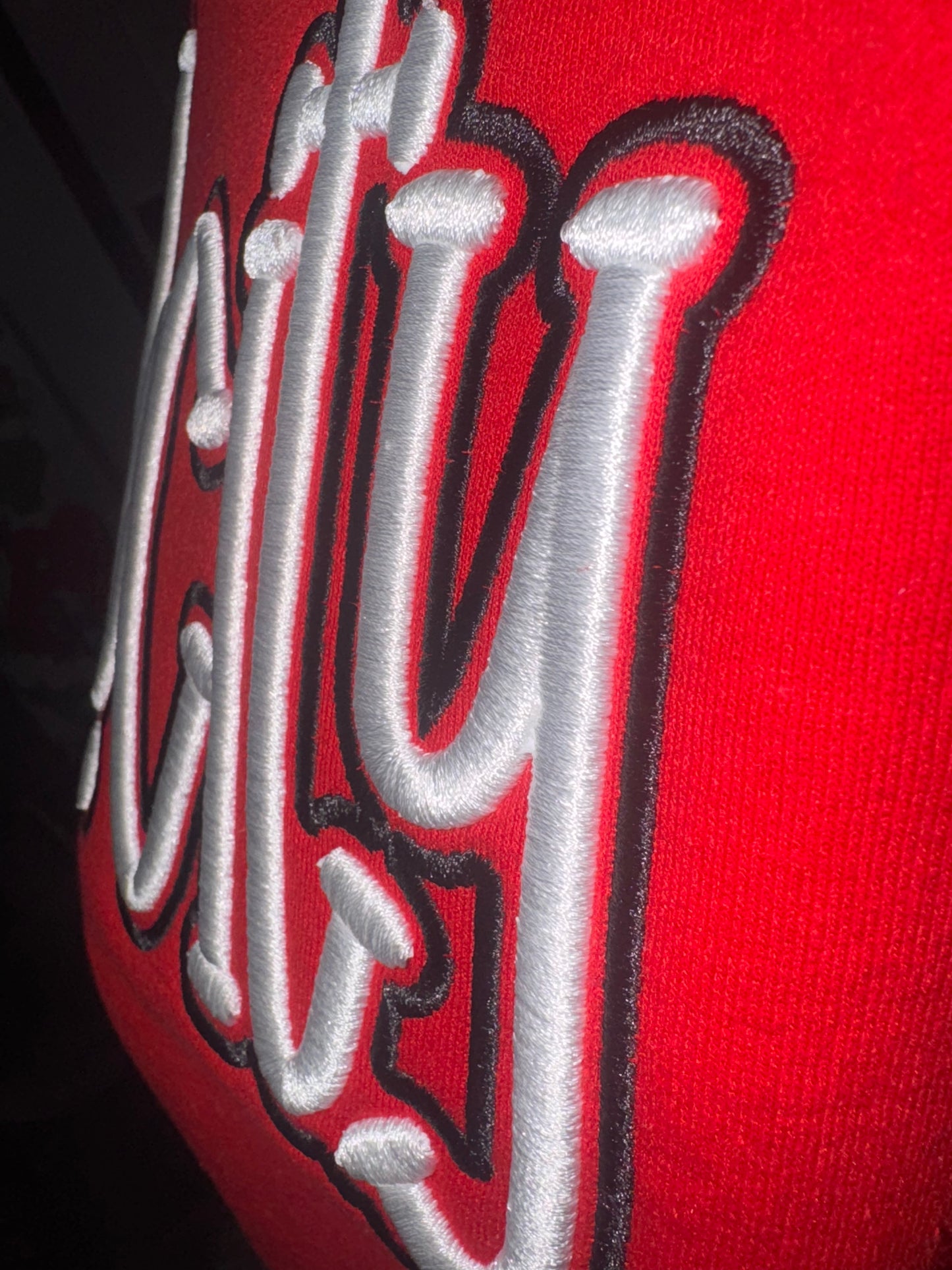 Velocity 3D Puff Embroidered Sweatshirt Youth