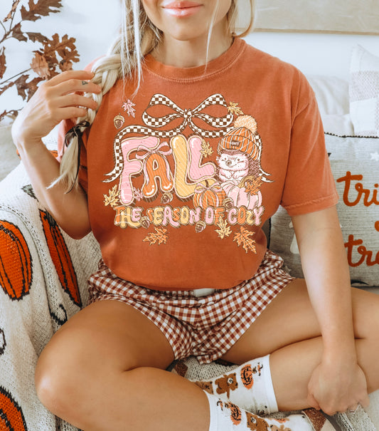 Fall, The Season of Cozy