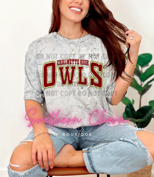 Owls School Spirit Tee