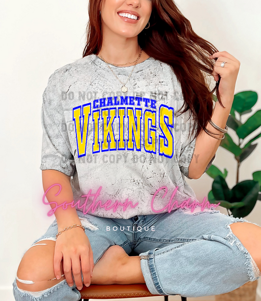 Vikings School Spirit Tee