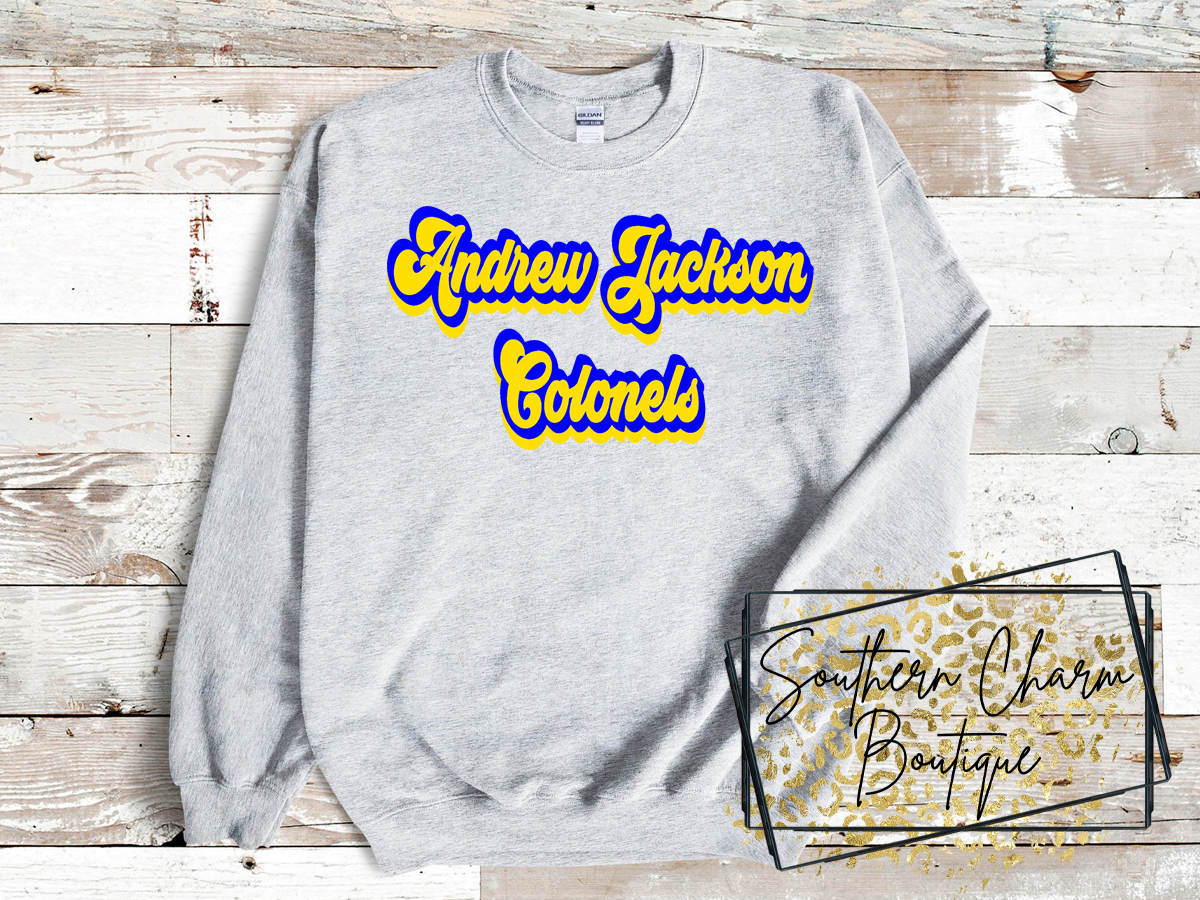 Youth School Themed Sweatshirts