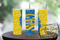 CES Vikings 20oz. Tumbler