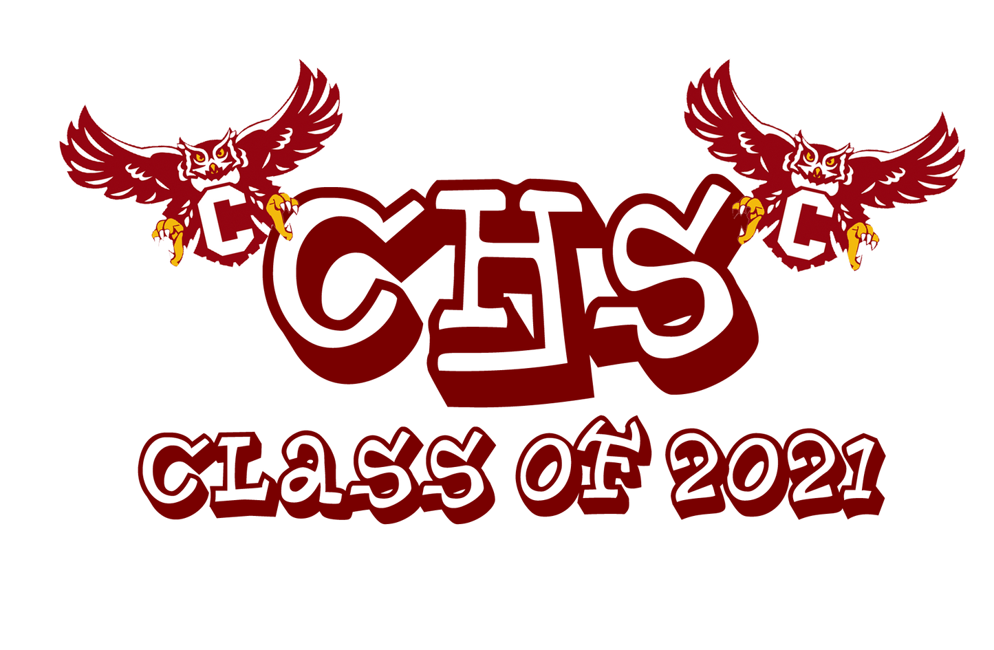 CHS Class of 2020 Mask